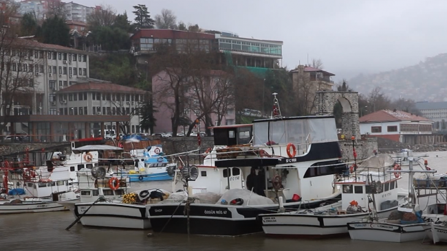 Fotoğraf: TRT Haber